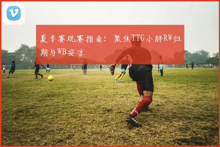 夏季赛观赛指南：聚焦TTG小胖RW归期与WB安凉